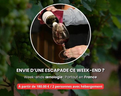 Bannière oenologie