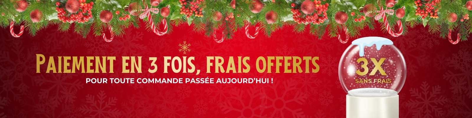 Noel 2025 - frais de 3x offerts
