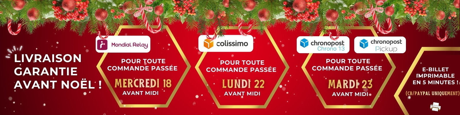 Noel 2025 - Livraison garantie avant noël